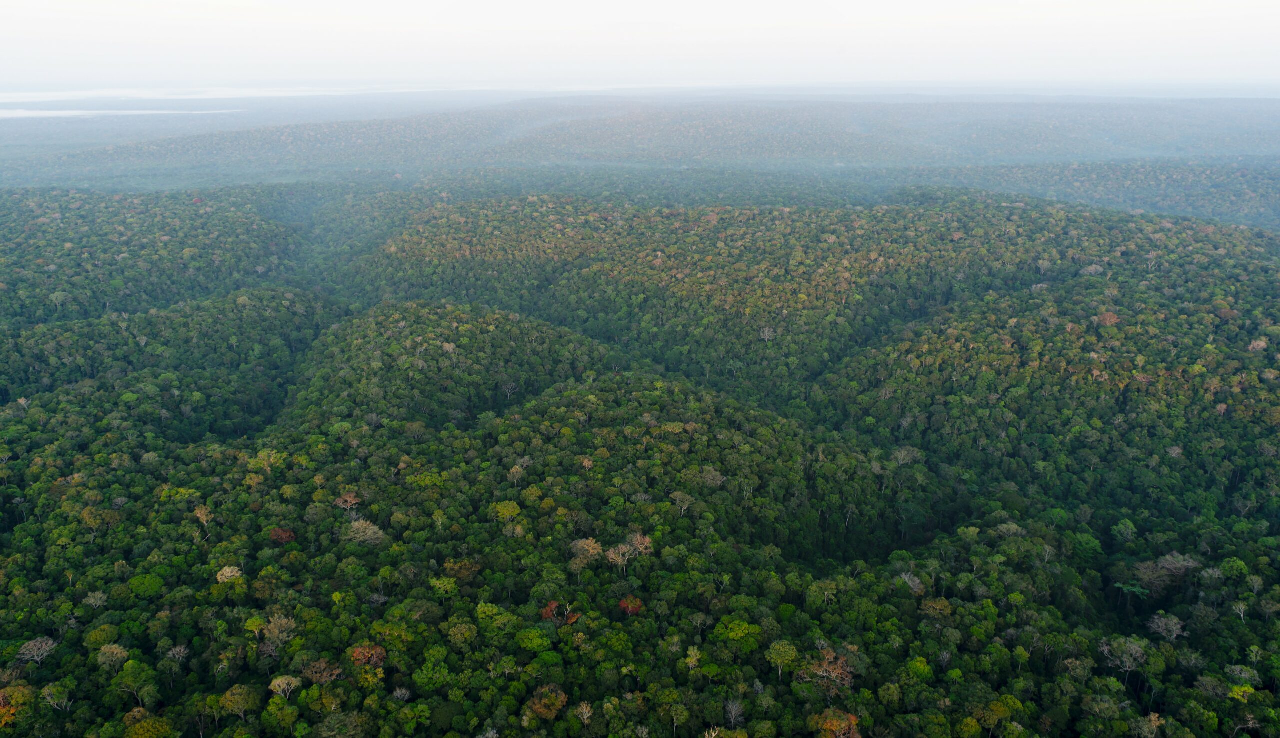 Floresta Amazônica, Brasil